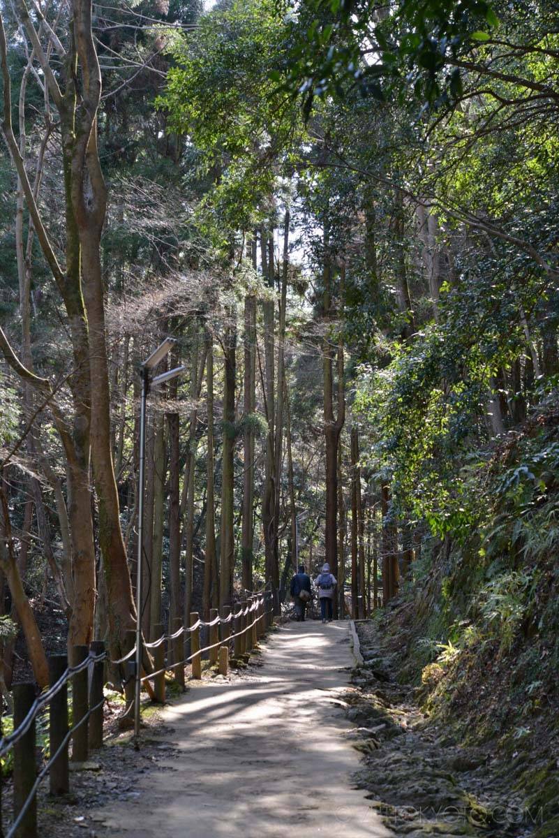 arashiyama22 (63)