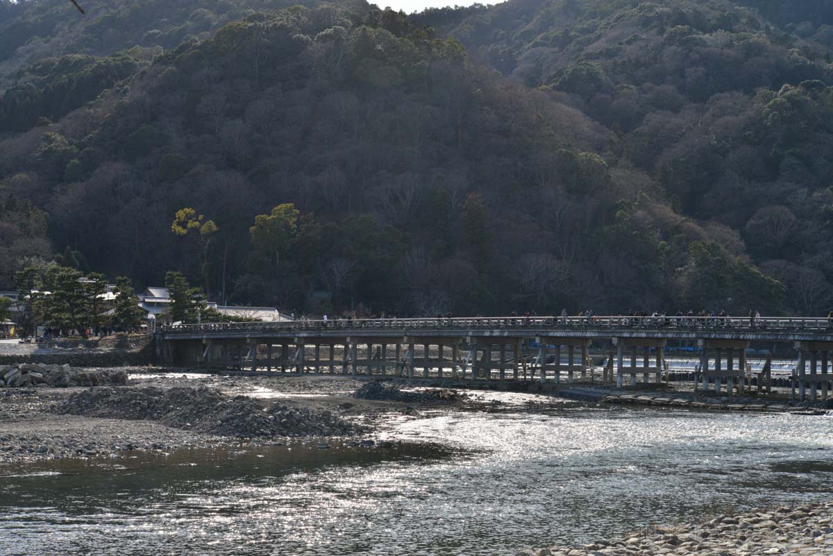 arashiyama22 (92)