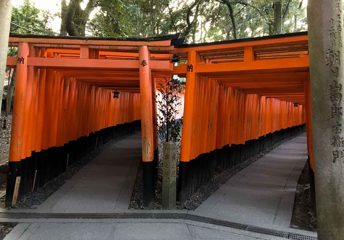 fushimiinari-11 (38)