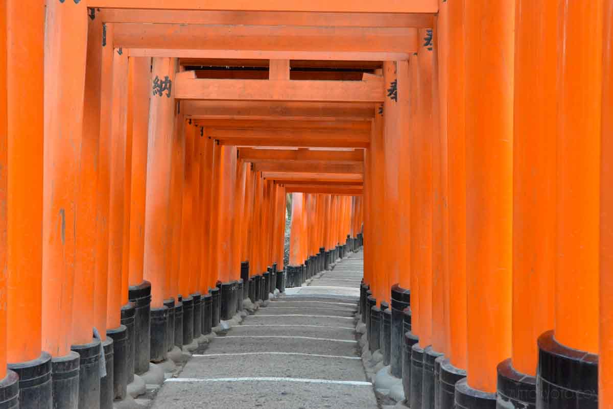 fushimiinari-11 (6)