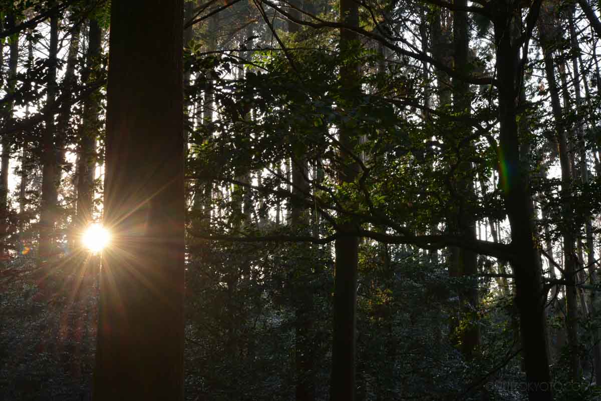 fushimiinari-11 (12)