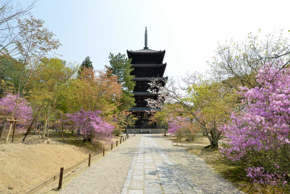 仁和寺 永远 京都