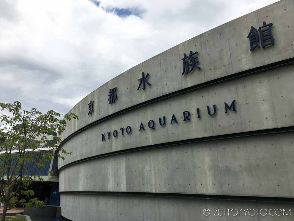aquarium-9536