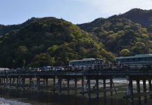 【2021年4月】現在の嵐山 嵐山