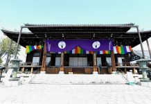 静かに桜めぐり・京都の穴場桜スポット