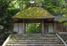 京都の隠れた名所【法然院】へ