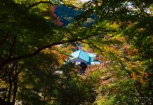 2022年紅葉~瑠璃光院