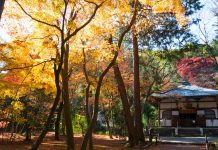 竹の寺・地蔵院