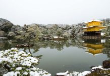 念願達成! 雪化粧の金閣寺